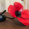 Poppies