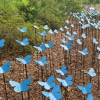 Butterfly from the Meadow at Sandringham Gardens and Tapping House The Norfolk Hospice Charity - Image 2